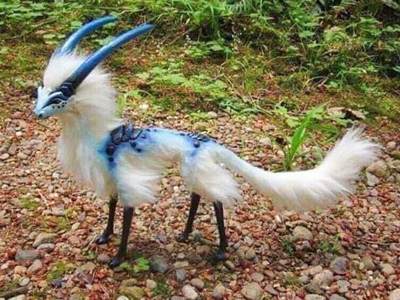 Animals That Are Real And Dangerous