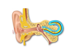 Já imaginou voltar a ter uma audição em pleno?